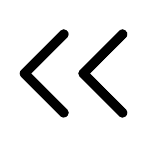 Double Arrow Left Icon from Radix Set
