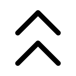 Double Arrow Up Icon from Radix Set