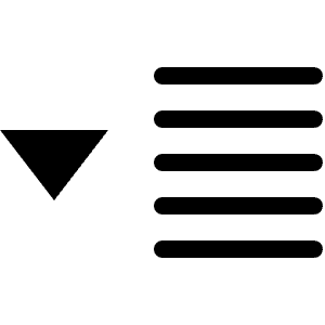 Dropdown Menu Icon from Radix Set