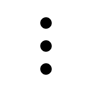 Ellipsis Vertical Icon from Heroicons Solid Set