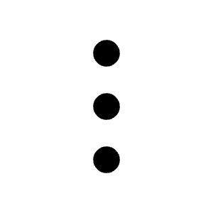 Ellipsis Vertical Icon from Heroicons Outline Set