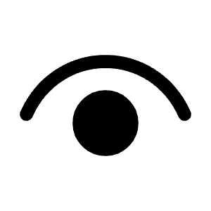 Eye Icon from Iconoir Solid Set