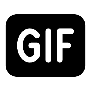 Gif Icon from Heroicons Solid Set