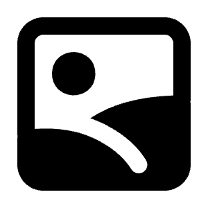 Image Icon from Majesticons Solid Set