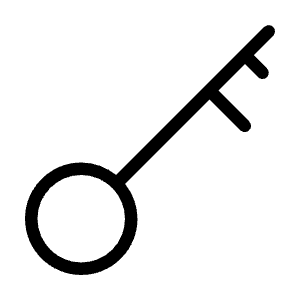 Key Skeleton Icon from Unicons Thinline Set