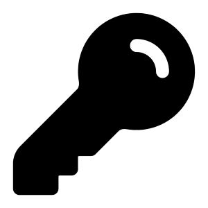 Key Icon from Heroicons Solid Set