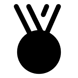 Medal Icon from Iconoir Solid Set