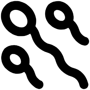 Sperms Icon from Unicons Line Set
