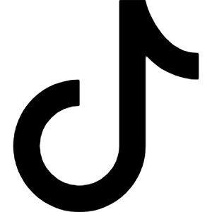 Tiktok Icon from Bootstrap Set