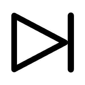 Track Next Icon from Radix Set