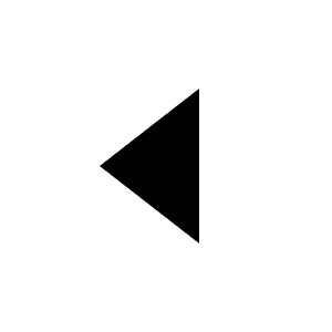 Triangle Left Icon from Radix Set