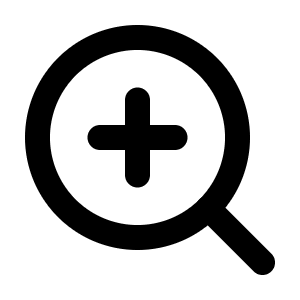 Zoom In Icon from Feather Set
