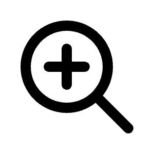 Zoom In Icon from Radix Set