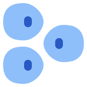 Allergens Lupin Icon from Core Flat Set