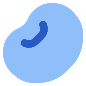 Allergens Soy Bean 1 Icon from Core Flat Set