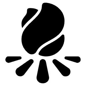 Bonfire Icon from Ionic Filled Set