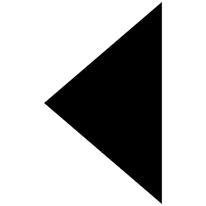 Caret Back Sharp Icon from Ionic Sharp Set