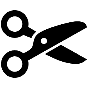 Cut Icon from Ionic Filled Set