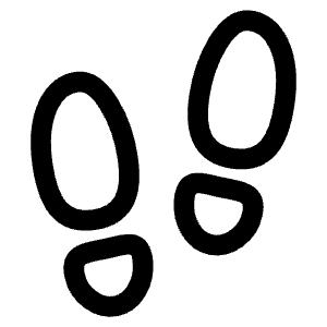 Footsteps Outline Icon from Ionic Outline Set