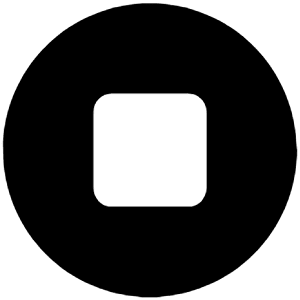 Stop Circle Icon from Ionic Filled Set