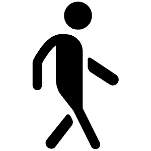 Walk Icon from Ionic Filled Set