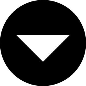 Down Circle Icon from Block – Free Set