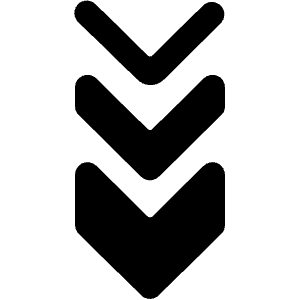 Arrow Double Down 1 Icon from Ultimate Bold - Free Set