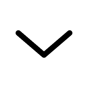 Alt Arrow Down Icon from Solar Linear Set