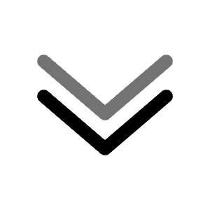 Double Alt Arrow Down Icon from Solar Line Duotone Set
