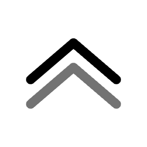 Double Alt Arrow Up Icon from Solar Line Duotone Set