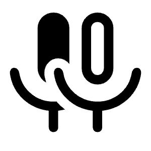 Mic Double Icon from Rounded Line - Material Symbols Set