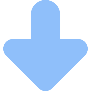 Triangle Arrow Down Large 1 Icon from Core Flat Set
