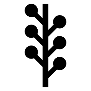 Newsvine Logo Icon from Logos Solid - Free Set