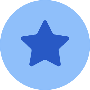 Star Circle Icon from Core Flat Set