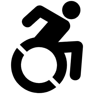 Accessible Icon Icon from Font Awesome Solid Set