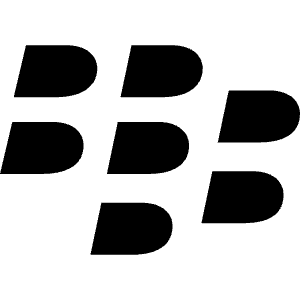 Blackberry Icon from Font Awesome Solid Set