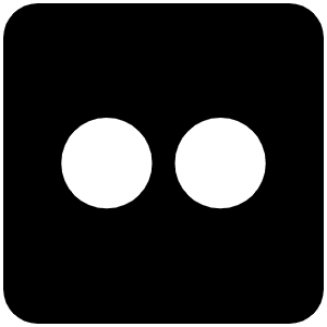 Flickr Icon from Font Awesome Solid Set
