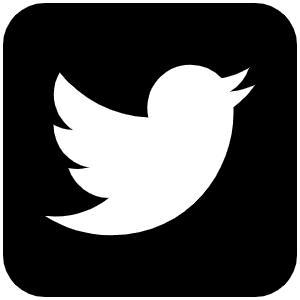 Square Twitter Icon from Font Awesome Solid Set
