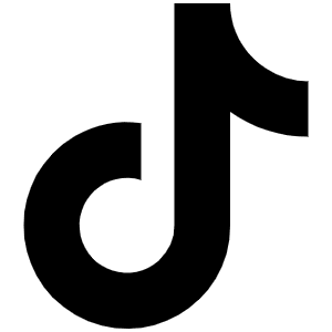 Tiktok Icon from Font Awesome Solid Set