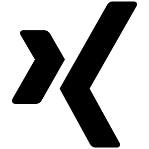 Xing Icon from Font Awesome Solid Set
