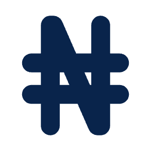 Currency Nigeria 2 Fill Icon from Mingcute Fill Set
