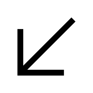 Arrow Down Left Icon from Carbon Set