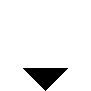 Caret Sort Down Icon from Carbon Set