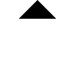 Caret Sort Up Icon from Carbon Set