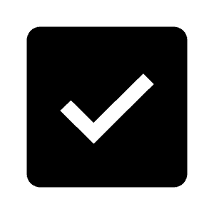 Checkbox Checked Filled Icon from Carbon Set