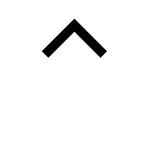 Chevron Sort Up Icon from Carbon Set