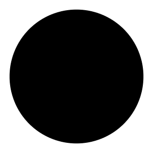 Circle Solid Icon from Carbon Set