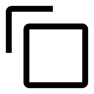 Copy Icon from Carbon Set
