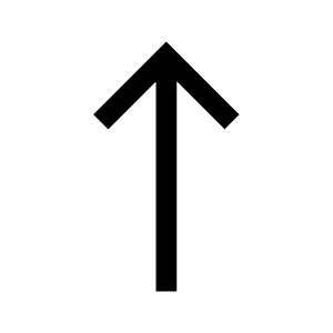 Direction Straight Icon from Carbon Set