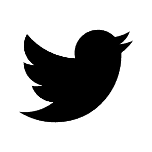 Logo Twitter Icon from Carbon Set
